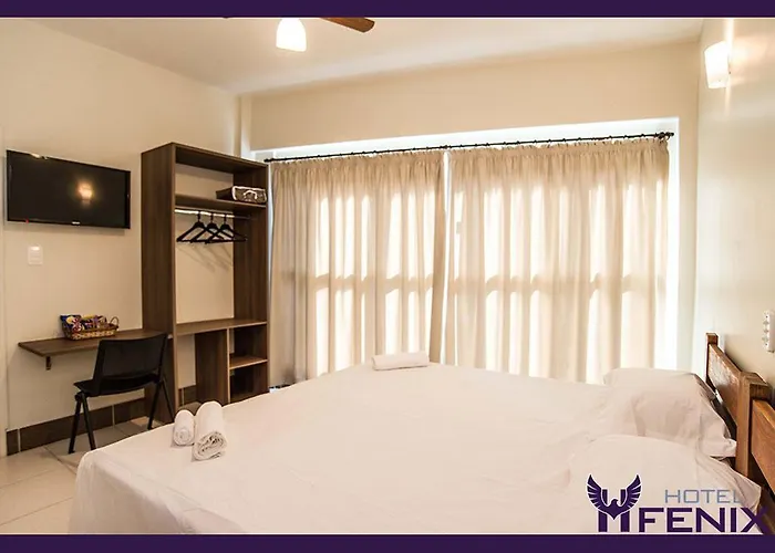 Hotel Fenix